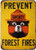 CCparton Smokey Bear Prevent Forest Fires Outdoors Metal Tin Sign Decor Retro 8x12 Inch