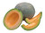 Burpee Ambrosia Cantaloupe Melon Seeds 30 seeds
