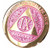 9 Year Elegant Glitter Pink Gold Silver Bi-Plated AA Medallion Chip XI