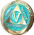 5 Year Elegant Glitter Aqua Turquoise Gold Silver Bi-Plated AA Medallion Chip IX