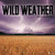 2021 Weather 12"x12" Wall Calendar