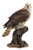 Ebros Realistic Wildlife Red Tailed Hawk Perching On Tree Stump Statue Birds Of Prey Decorative Figurine 10" Tall