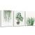 Biuteawal - Green Leaf Wall Art Tropical Plants Simple Life Picture Artwork 3 Pieces Contemporary Canvas Art Cactus Painting Wall Decor for Bathroom Living Room Bedroom Decoration Biuteawal - Green Leaf Wall Art Tropical Plants Simple Life Picture Artwork 3 Pieces Contemporary Canvas Art Cactus Painting Wall Decor for Bathroom Living Room Bedroom Decoration