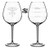 Wine Glass Goblet Two Sided Good Day Bad Day Don't Even Ask NP Nurse Practitioner (20 oz Jumbo)