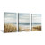 Hardy Gallery Abstract Beach Picture Wall Art: Coastal Grass Seascape Artwork Print on Canvas for Walls (12x16x3pcs)