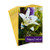 Hallmark Pack of Easter Cards, Easter Lily (6 Cards with Envelopes), Easter Lily, 6 Cards with Envelopes (499EAA1051)