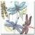 Art Plates - Dragonflies Switch Plate - Double Toggle