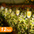 Sunnest 12Pack Outdoor Garden Lights, LED Solar Powered Pathway Lights, Stainless Steel Landscape Lighting for Lawn/Patio/Walkway/Driveway (Warm White)
