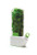 Prepara PP01-HS100  Herb Savor,Clear