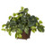 Nearly Natural 6704 Pothos with Coiled Rope Decorative Silk Plant, Green