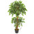 Nearly Natural 4-Ft. Variegated Ficus Artificial Silk Trees Green