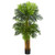 Nearly Natural 5 Triple Areca Palm Tree Artificial Plant, Green