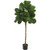 Nearly Natural 5 Fiddle Leaf Fig Artificial Silk Trees Green
