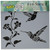 CRAFTERS WORKSHOP TCW6X6-519 Hummingbirds Template, 6 by 6"