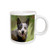 3dRose Australian Cattle Dog Mug, 15-Ounce