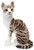 VIAHART Amy The American Shorthair Cat | 14 Inch Stuffed Animal Plush | by Tiger Tale Toys