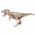 Learn About The T-Rex Dinosaur Anatomy - 11 inch 4-D See-Thru Model (Age 8+)
