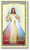 Divine Mercy of Jesus Holy Card with Divine Mercy Chaplet on The Back (10 Pack)