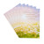DaySpring Pack of Religious Easter Cards, Joyful Easter Blessings (6 Cards with Envelopes)