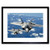 Military AIR Plane Fighter Jet F22 Raptor Tyndall Framed Art Print B12X3543