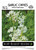Sow Right Seeds - Garlic Chives Seed for Planting - Non-GMO Heirloom Seeds with Full Instructions for Planting an Easy to Grow Kitchen Garden, Indoor or Outdoor; Great Gift