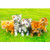 Tektalk 1000 Piece Puzzle Jigsaw Puzzle-Curious Kitties