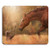 Horse Meets Dog Customized Rectangle Mousepad, Gaming Mouse Pad Mouse Mat