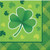 Creative Converting St. Patrick's Day Shamrock Plaid Beverage Napkins 16 Count