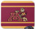 BGLKCS Goldy Gopher & Minnesota M Mouse Pad Computer Accessories, Gaming Mouse Mat