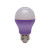 Purple LED Light Bulb by EcoSmart - 25W Equivalent GP19