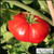 Beefsteak Tomato Seeds, 300+ Premium Heirloom Organic Seeds, Gardeners Choice & On Sale, (Isla's Garden Seeds), Non Gmo Organic, 85% Germination Rates, Highest Quality Seeds, 100% Pure