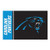 FANMATS NFL Carolina Panthers Nylon Face Starter Rug