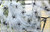 Halloween Spider Web White Cob Webs£¨100g£ with 60 Pieces Fake Plastic Spiders Stretchable(300 Square Feet) Spider Webs Indoor & Outdoor Spooky Spider Webbing for Halloween Decorations