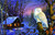 Night Watch 30 pc Jigsaw Puzzle by SUNSOUT INC