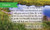 Pass Along Pocket Scripture Cards, Peace, Matthew 11:28-29, Pack of 25