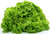 "Green Ice" Lettuce Seeds, 1000+ Premium Heirloom Seeds, On Sale, (Isla's Garden Seeds), Non Gmo Organic, 85% Germination, Highest Quality Seeds, 100% Pure