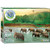 EuroGraphics Rainforest 1000-Piece Puzzle