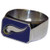 NFL Minnesota Vikings Steel Bottle Opener, Ring Size 10
