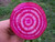 Beet Seed Chioggia Heirloom By Stonysoil Seed Company