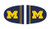 FANMATS NCAA University of Michigan Wolverines Polyester Mirror Cover-Large