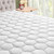 IXELLES Full Mattress Pad Cover, Soft Quilted Pillowtop Mattress Pad, Cooling Mattress Topper with Deep Pocket (8" - 21")
