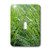 3dRose LLC lsp_20264_1 New Grass Single Toggle Switch