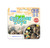 Miniland Kids Beach Sand Molds (4 Piece)