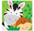 Unique Industries Animal Jungle Beverage Napkins, 16 Count, Multicolor
