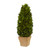 Nearly Natural 16in. Boxwood Cone Preserved Planter Silk Plants, Green