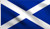 DMSE Saltire Saint Andrew's Cross Crux Decussata Scotland Scottish Flag 3X5 Ft Foot 100% Polyester 100D Flag UV Resistant (3' X 5' Ft Foot)