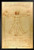 Leonardo Da Vinci Vitruvian Man Drawing Sketch Renaissance Art Black Wood Framed Poster 14x20
