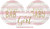 Pink Silver Celebration It's A Girl Baby Shower Party Bundle 9" Foil Plates (16) Napkins (16)