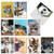 The Best Card Company - 10 All Occasion Blank Cat Cards (4 x 5.12 Inch) - Cute Assorted Bulk Card Set - Kool Kitties AM6891OCB-B1x10