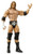 WWE Triple-H Wrestlemania 21 Figure Series 16